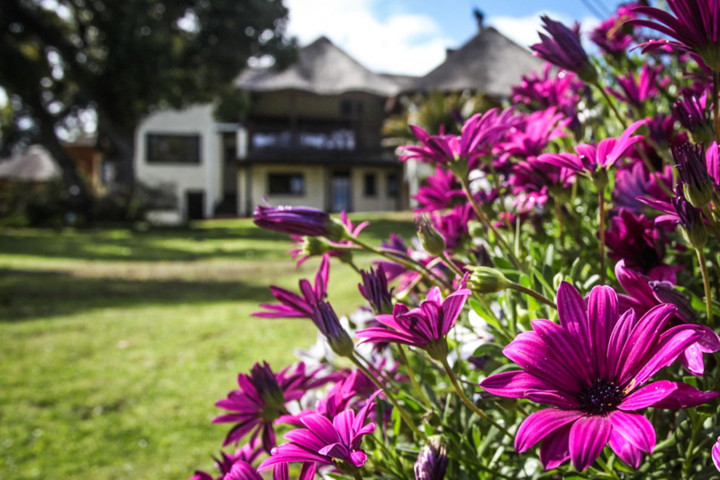 Winelands Villa Guesthouse And Cottages Съмърсет Уест Екстериор снимка