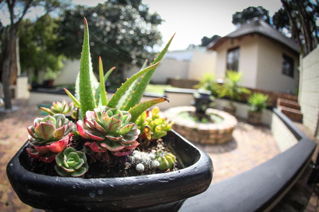 Winelands Villa Guesthouse And Cottages Съмърсет Уест Екстериор снимка