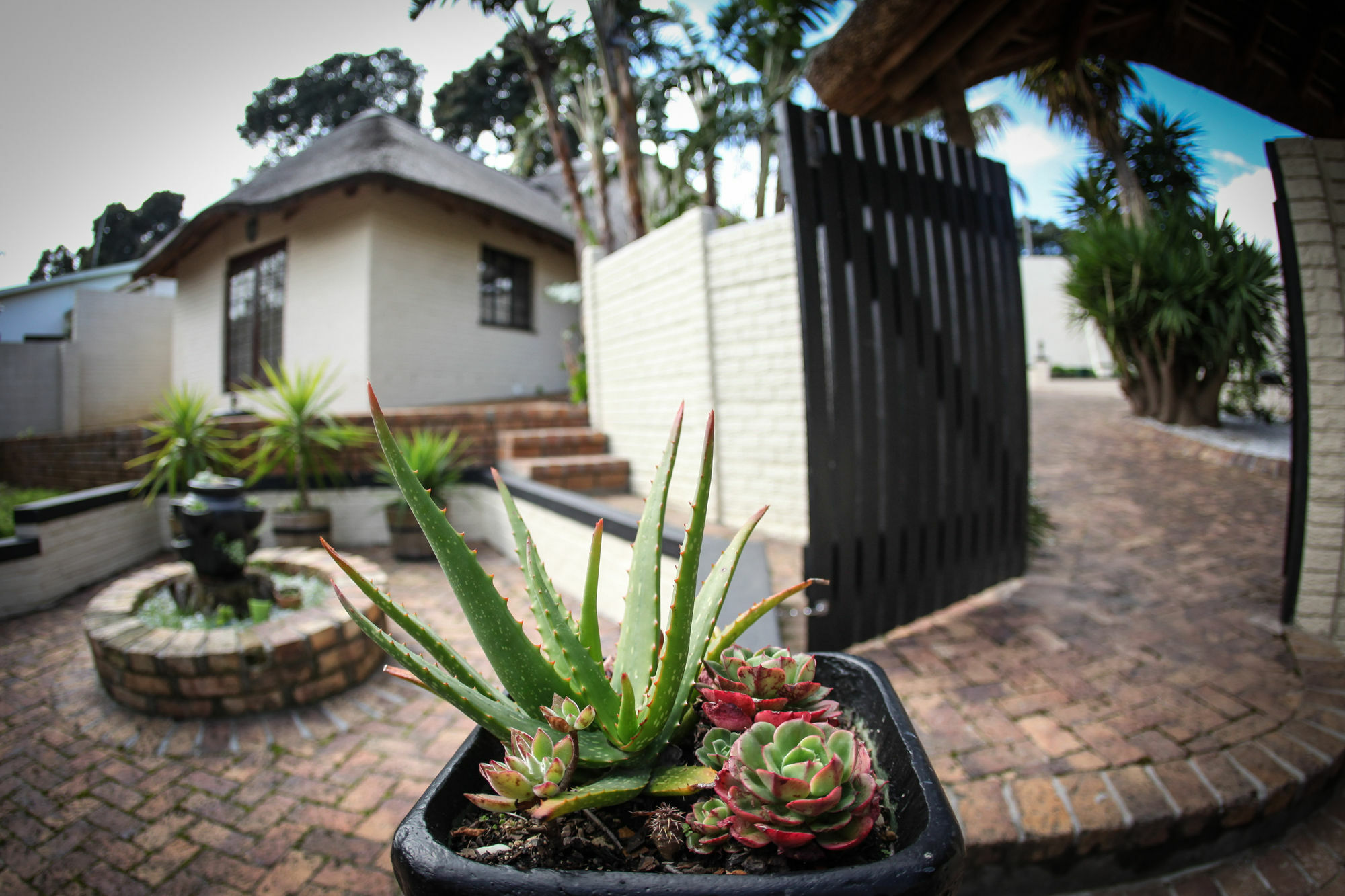 Winelands Villa Guesthouse And Cottages Съмърсет Уест Екстериор снимка